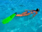 Snorkeling out of Riu Guanacaste